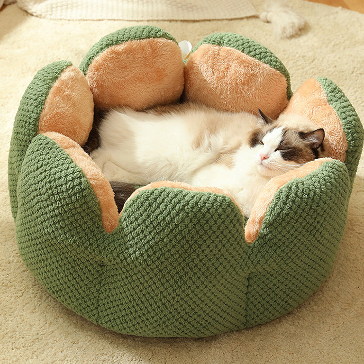 cuccia 7.jpg__PID:047f333e-391d-488b-8d22-49b1f8738886