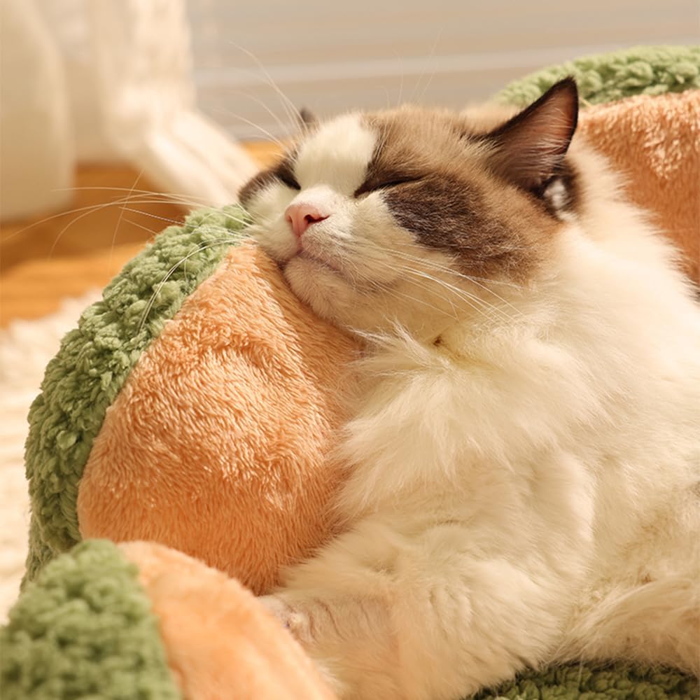 foto cuccia 17.jpg__PID:3e67c75d-a53d-4bb2-b07a-c52b5b6549a0